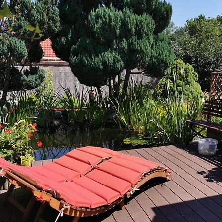 Ferienhaus Mit Mediterraner Terrasse Müllrose Eksteriør bilde